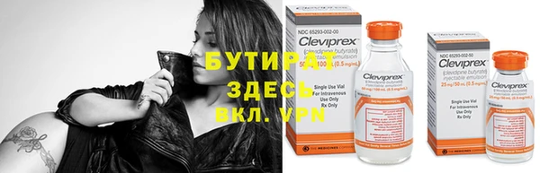 хмурый Болотное
