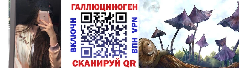 гидра Заринск Псилоцибиновые грибы Psilocybe