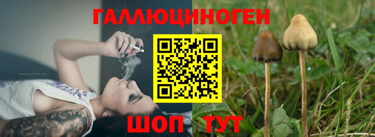 Галлюциногенные грибы ЛСД  Вход с VPN  Псилоцибиновые грибы Cubensis  Заринск 
